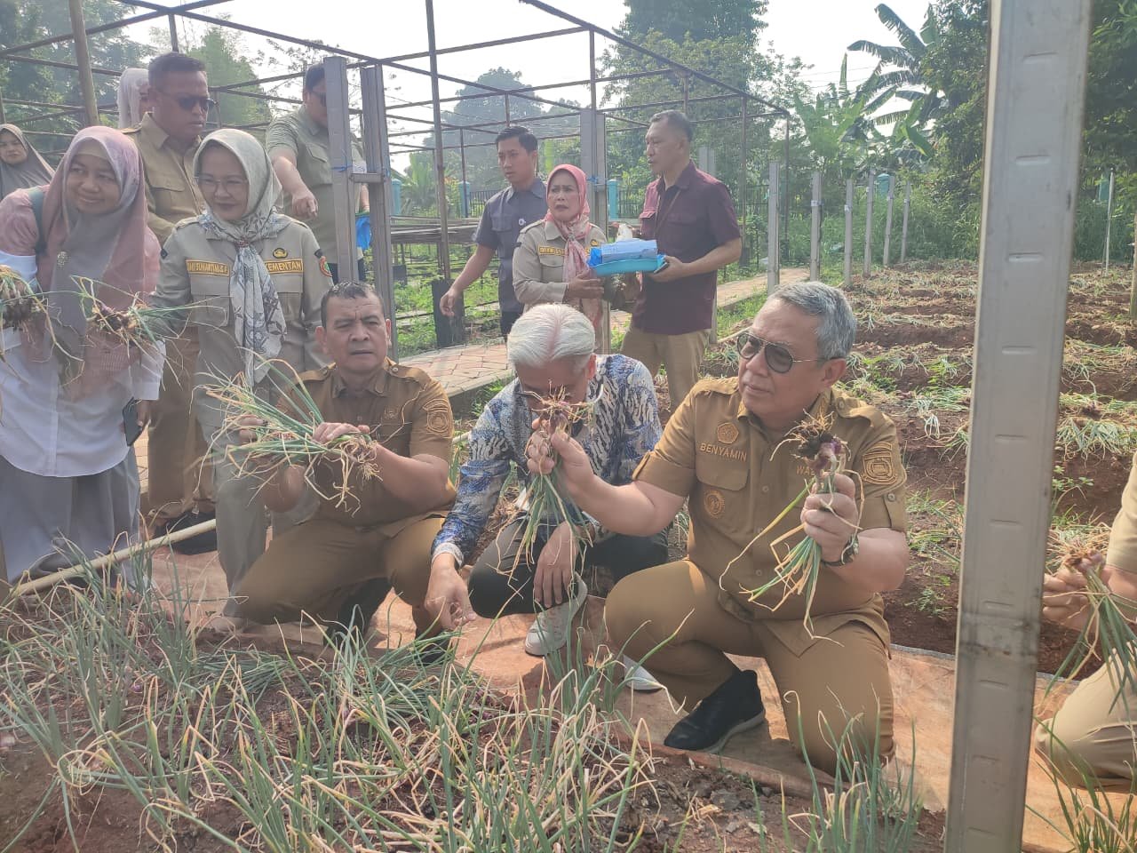Panen perdana bawang merah varietas Batu di Tangsel berhasil. Benyamin Davnie kaji kerja sama pengembangan pupuk mikroba untuk warga.