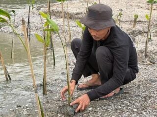 Aktivis Lingkungan: Penanaman Mangrove Kunci Mitigasi Ancaman Megathrust di Pesisir Tangerang