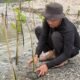 Aktivis Lingkungan: Penanaman Mangrove Kunci Mitigasi Ancaman Megathrust di Pesisir Tangerang
