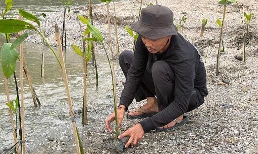 Aktivis lingkungan menyebut penanaman mangrove menjadi kunci mitigasi ancaman gempa megathrust dan tsunami di pesisir Tangerang.