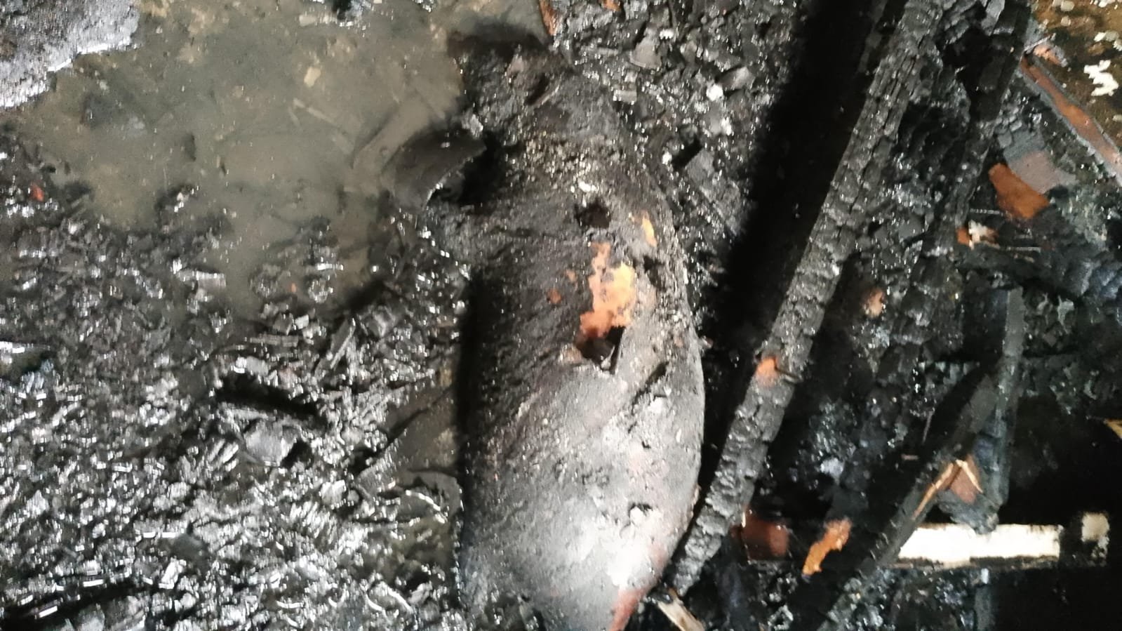 Kebakaran melanda ruko material di Pamulang, Tangsel. Api diduga akibat korsleting listrik, satu babi peliharaan ditemukan mati terjebak.