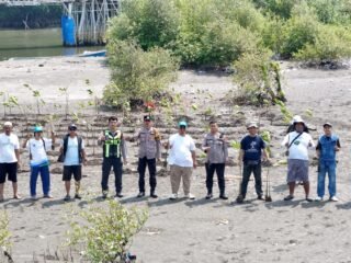 Koalisi Aktivis Lingkungan Tangerang Tanam Ribuan Bibit Mangrove di Teluknaga