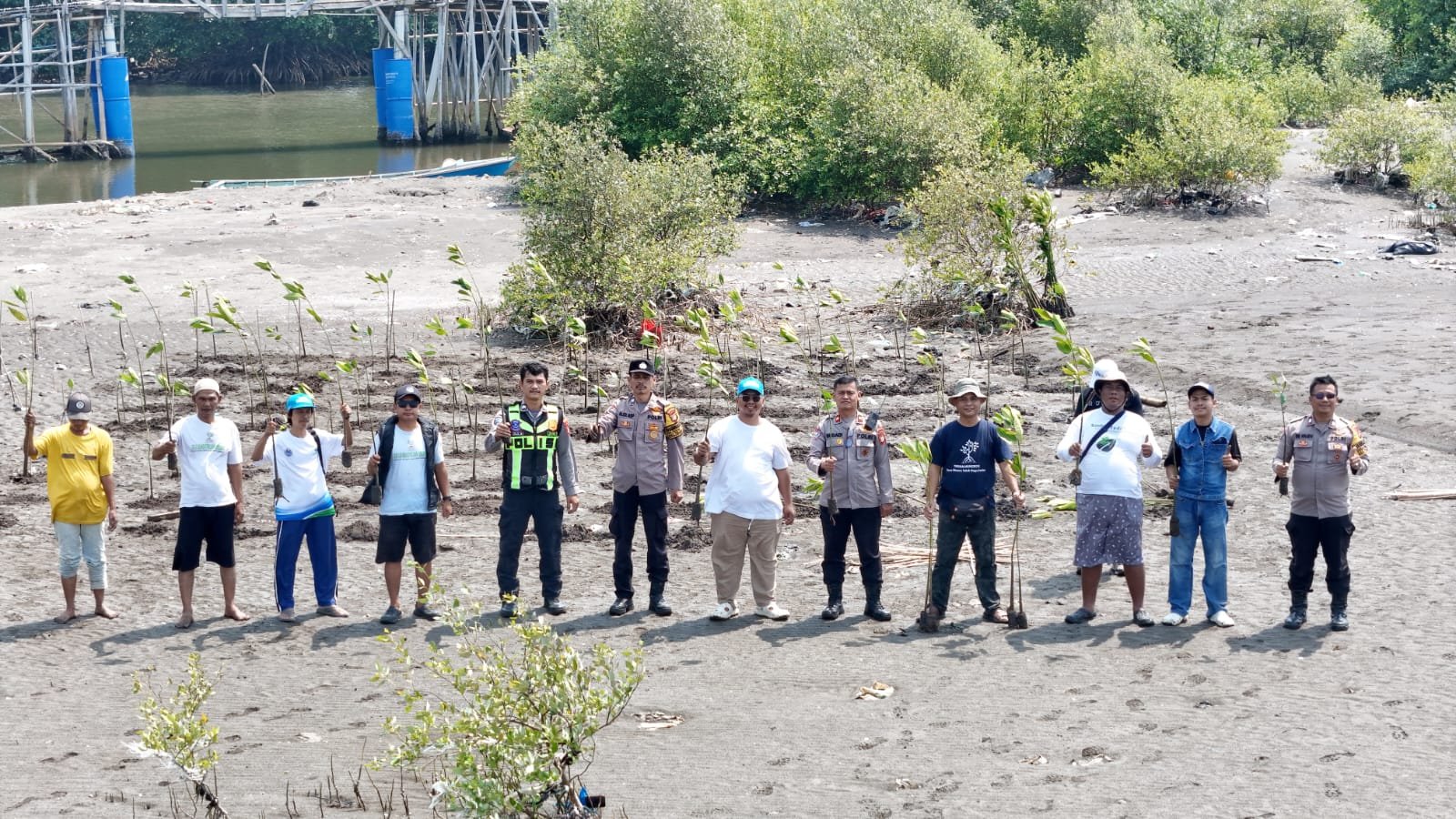Koalisi Aktivis Lingkungan Tangerang menanam ribuan bibit mangrove di Teluknaga untuk menjaga pesisir dan cegah abrasi.