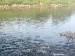 Sungai Cisadane Menghitam, DLHK Banten Telusuri Dugaan Pencemaran Industri