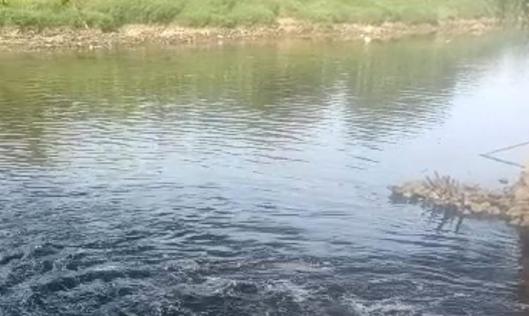 DLHK Banten menelusuri dugaan pencemaran industri setelah Sungai Cisadane di Tangerang berubah menjadi hitam pekat.