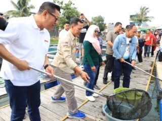 Kampung Wisata Keramba 22 Kota Tangerang Panen 200 Kilogram Ikan Patin, Produktivitas Terus Meningkat