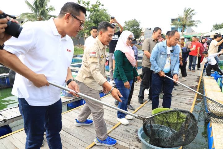 Kampung Wisata Keramba 22 Kota Tangerang panen 200 kilogram ikan patin, bukti produktivitas budi daya perikanan terus meningkat.