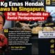 8 Penumpang Bawa 11,31 Kg Emas ke Singapura, BCW Minta Rantai Perdagangan Ditelusuri