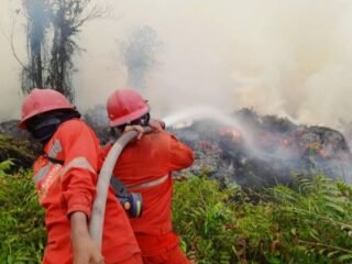 MUI Desak Penanganan Karhutla Dipercepat, Minta Prabowo Turun Tangan