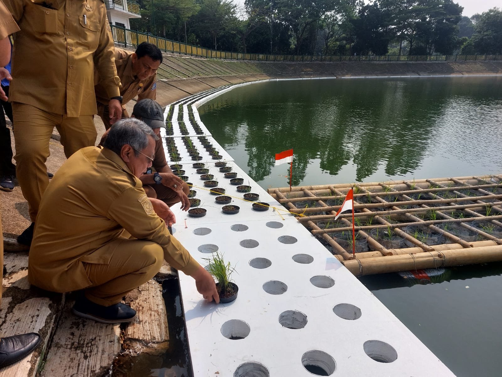 Pemkot Tangsel menguji coba padi apung di Tandon Ciater dengan target panen Januari 2027 untuk mendukung ketahanan pangan daerah.
